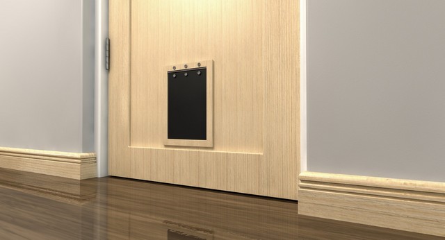 Cat Flap Installation Streatham, SW16